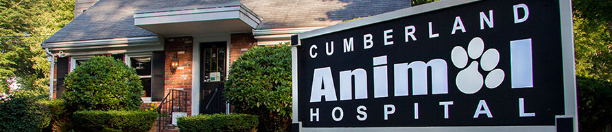 Cumberland Animal Hospital 6 Pound Road Cumberland  RI 02865 